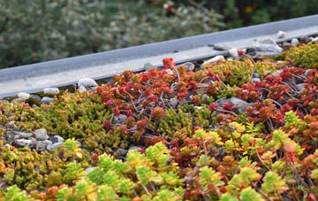 the cost of Moorhaven Village green roof installation