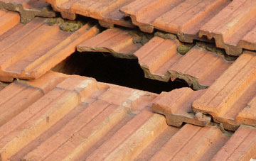 roof repair Moorhaven Village, Devon