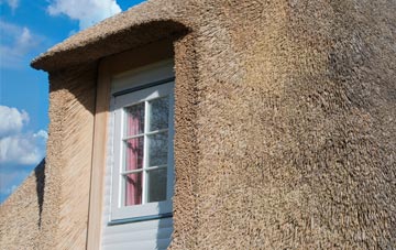 Moorhaven Village thatch roof disadvantages